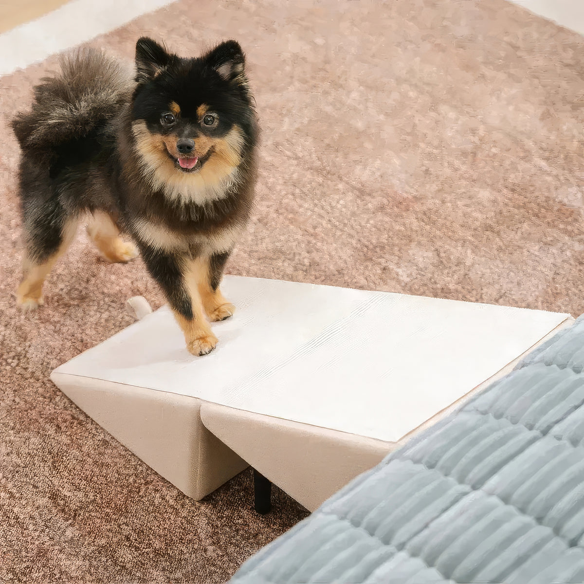 Rampa Sgabello per Cani Convertibile 2-in-1 - FidoSit