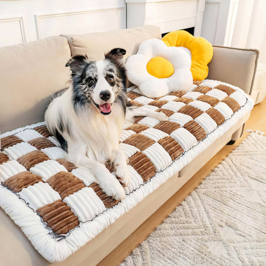 Divano protetto da copridivano per cani FidoSit