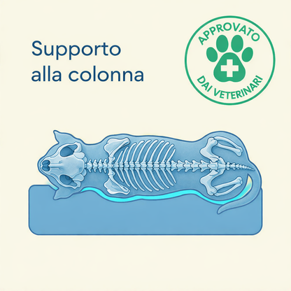 Cuccia Ortopedica Impermeabile Antimorso per Cani - FidoSit