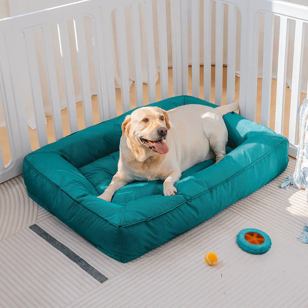 Cuccia Ortopedica Impermeabile Antimorso per Cani - FidoSit