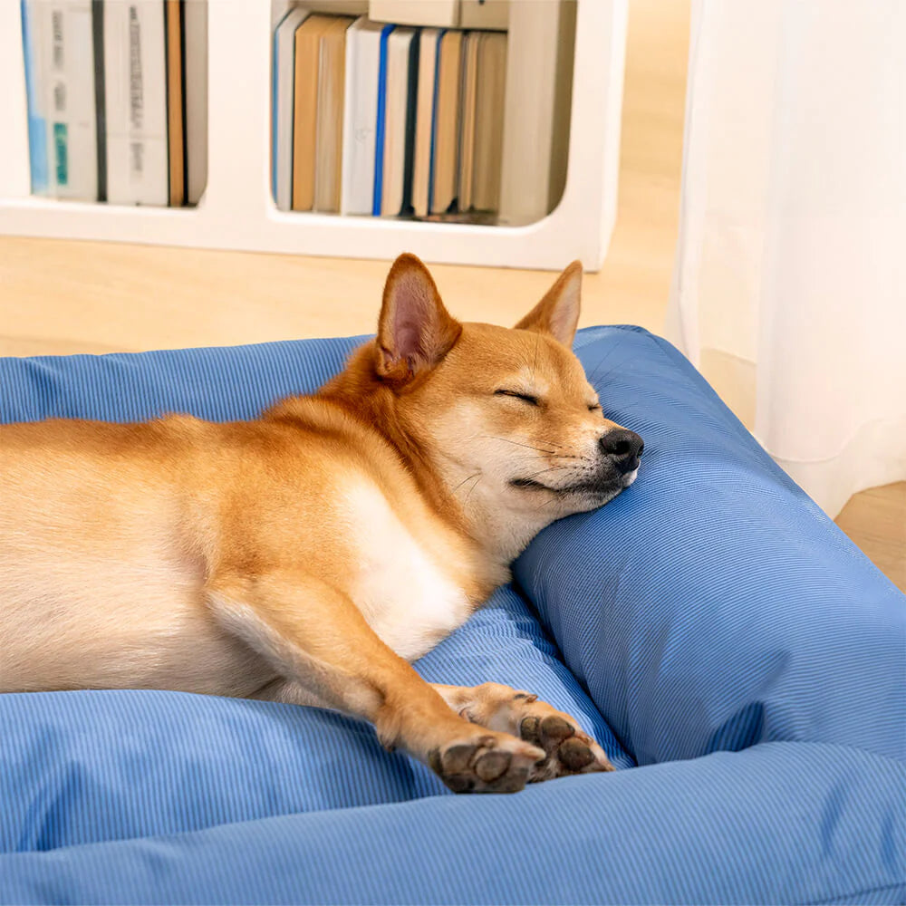Cuccia Ortopedica Impermeabile Antimorso per Cani - FidoSit