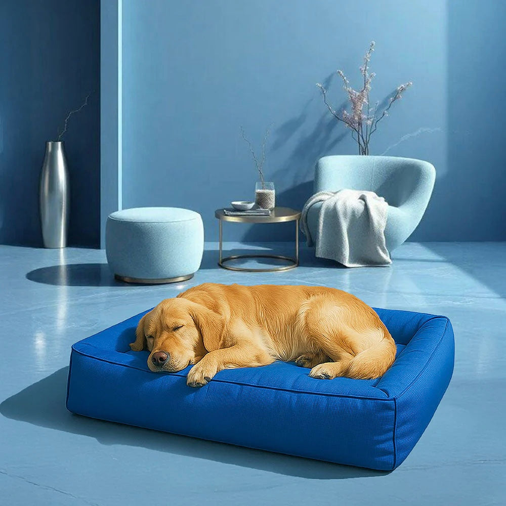Cuccia Ortopedica Impermeabile Antimorso per Cani - FidoSit