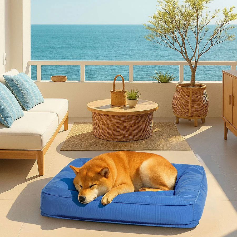 Cuccia Ortopedica Impermeabile Antimorso per Cani - FidoSit