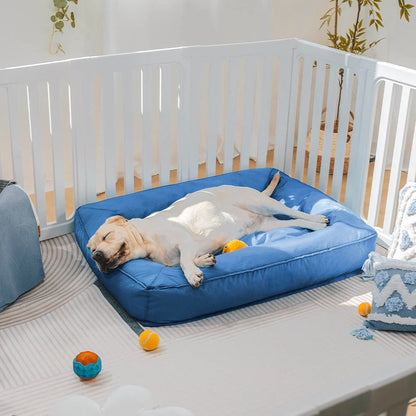 Cuccia Ortopedica Impermeabile Antimorso per Cani - FidoSit