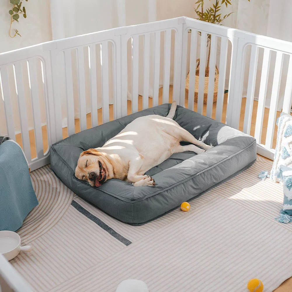 Cuccia Ortopedica Impermeabile Antimorso per Cani - FidoSit