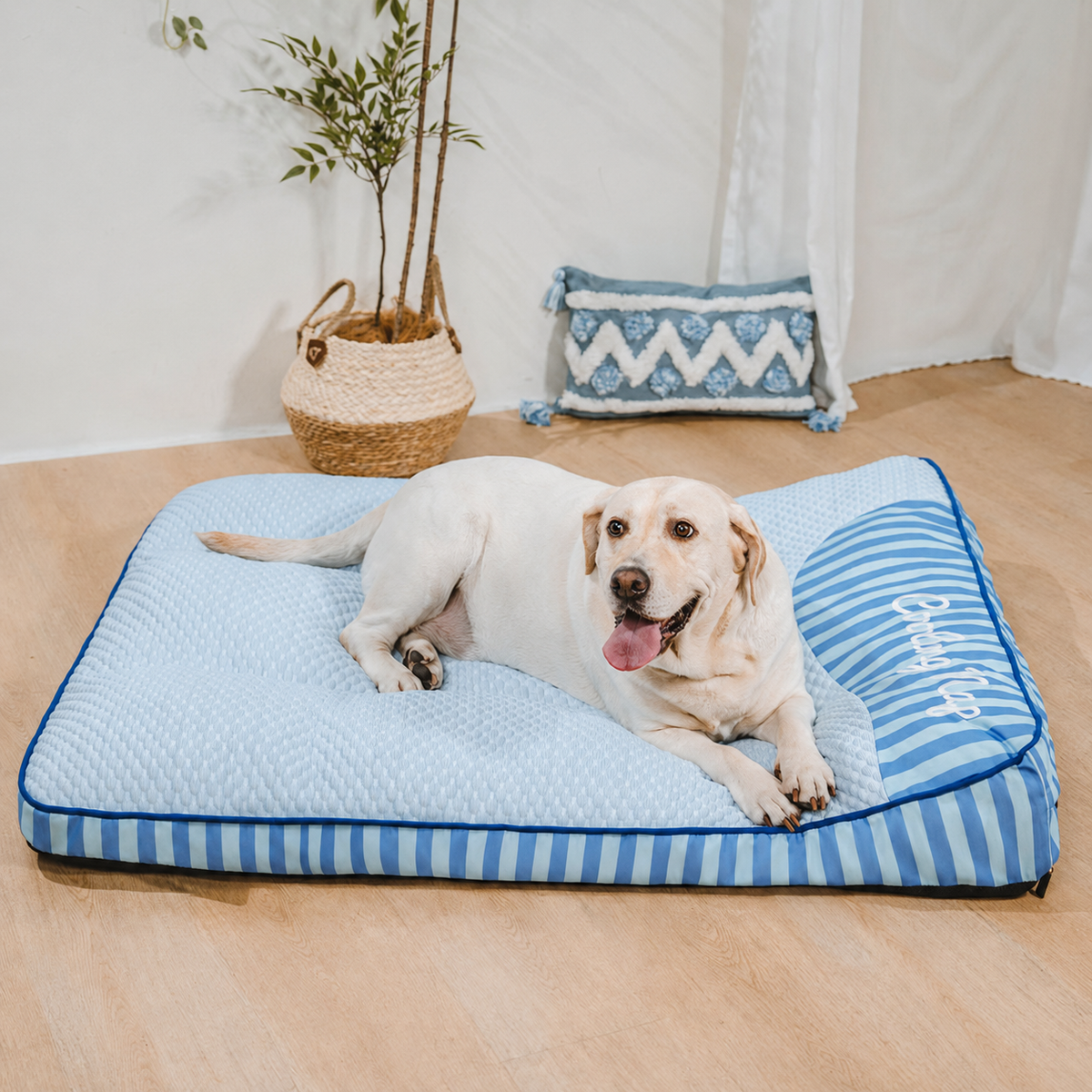Cooling Orthopedic Dog Bed – Washable & Breathable