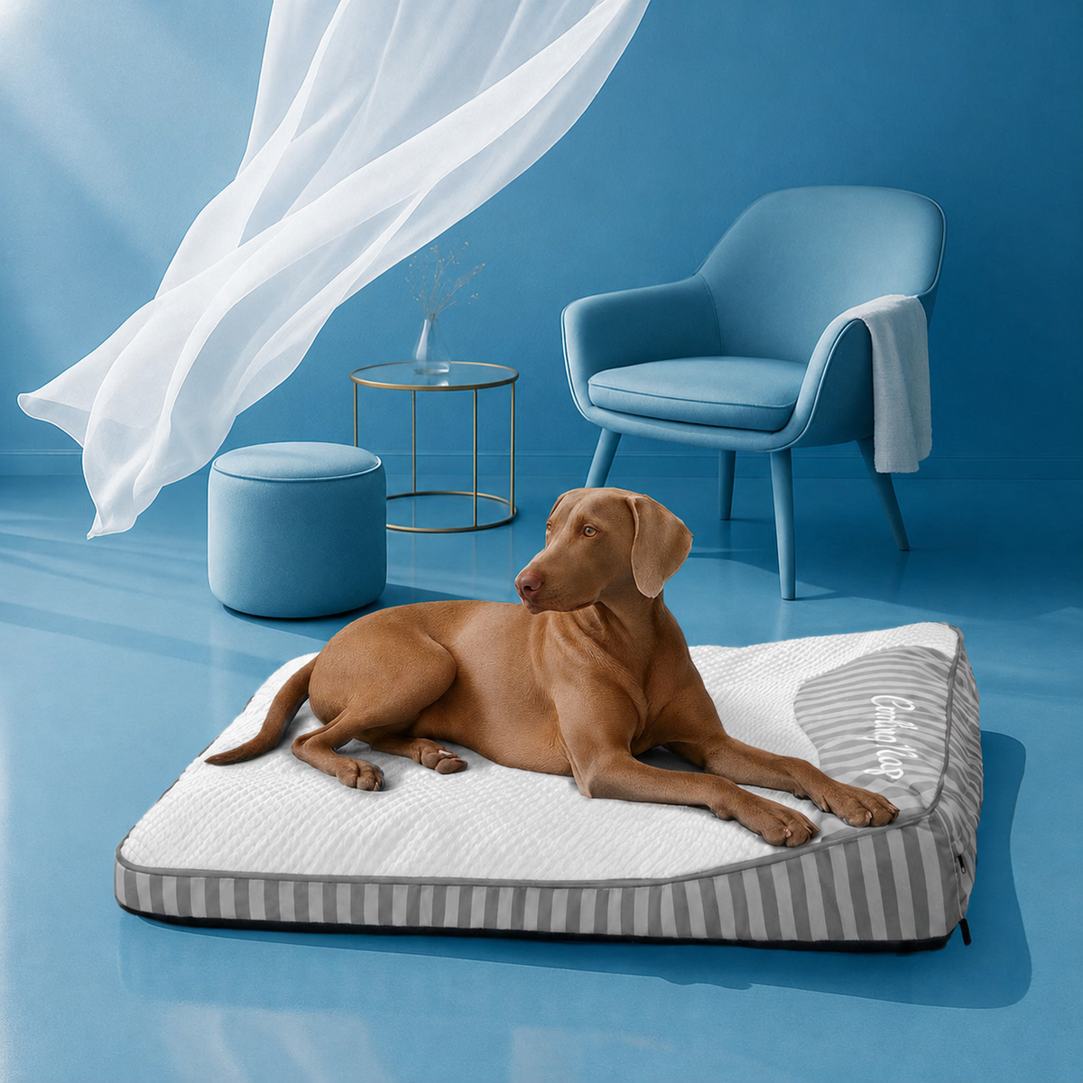 Cooling Orthopedic Dog Bed – Washable & Breathable