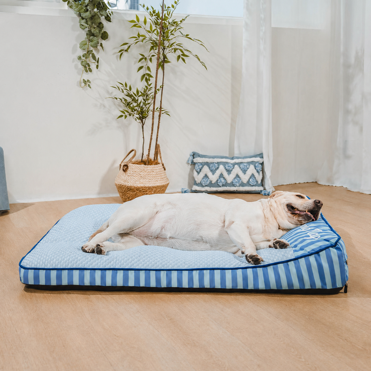 Cooling Orthopedic Dog Bed – Washable & Breathable