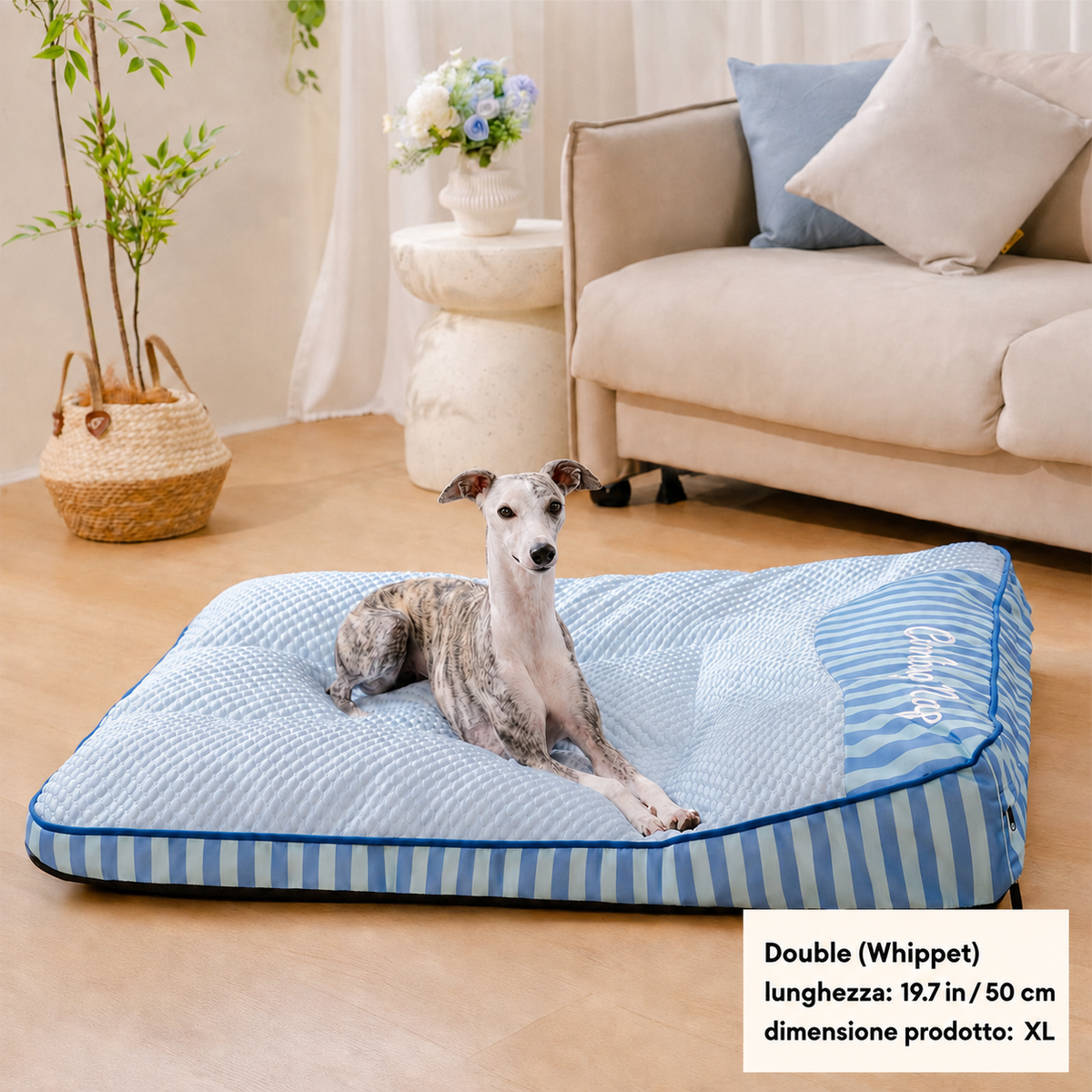 Whippet resting on an XL cooling dog bed