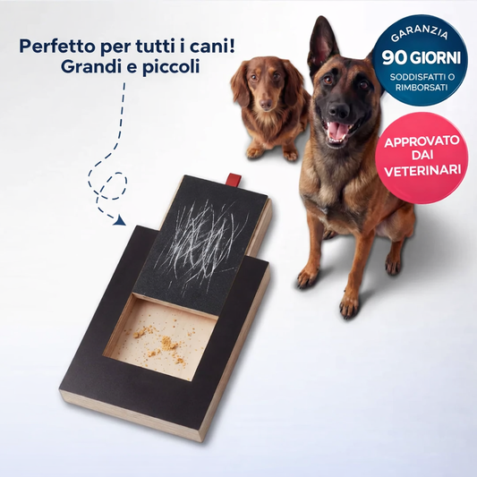 Tavoletta Tiragraffi per Cani con Sorpresa - FidoSit