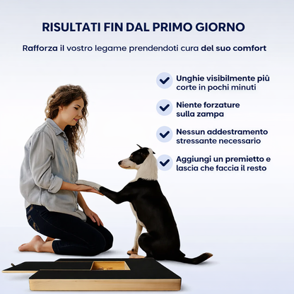 Tavoletta Tiragraffi per Cani con Sorpresa - FidoSit