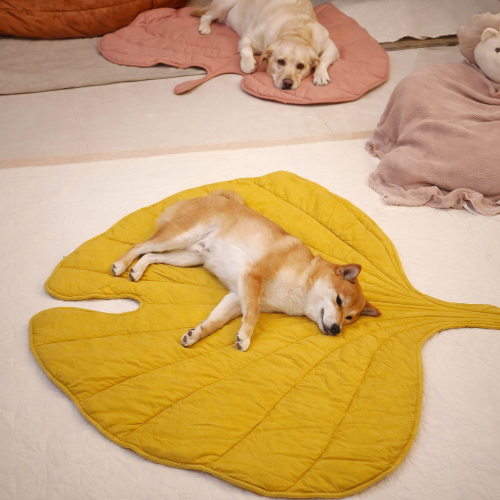 Tappetino Imbottito per Cani a Forma di Foglia - FidoSit