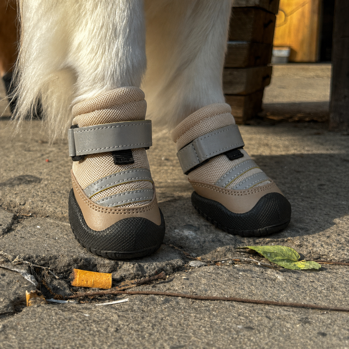 Scarpe Protettive FidoSit Set da 4 per Cani - FidoSit