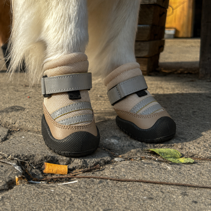 Scarpe Protettive FidoSit Set da 4 per Cani - FidoSit