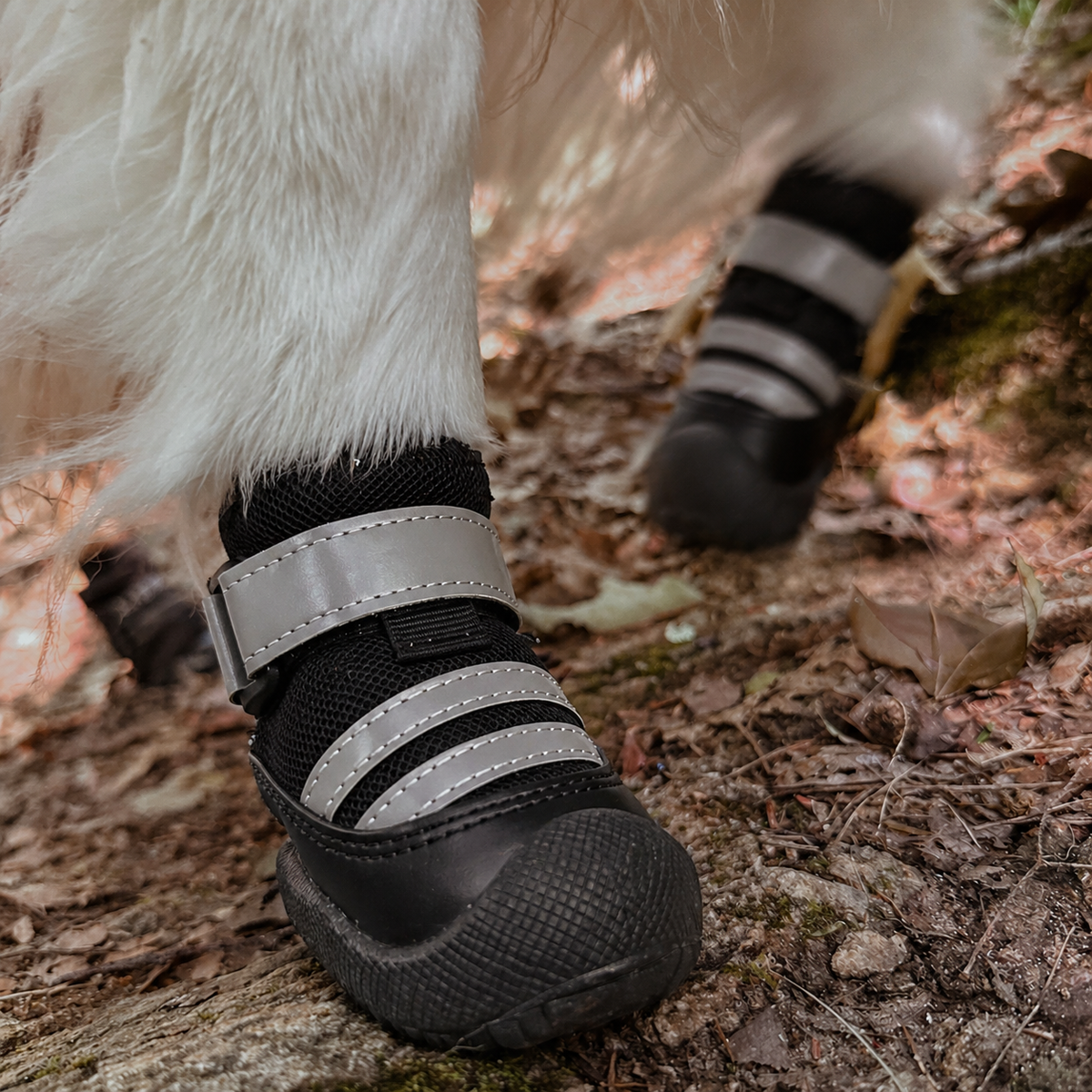 Scarpe Protettive FidoSit Set da 4 per Cani - FidoSit