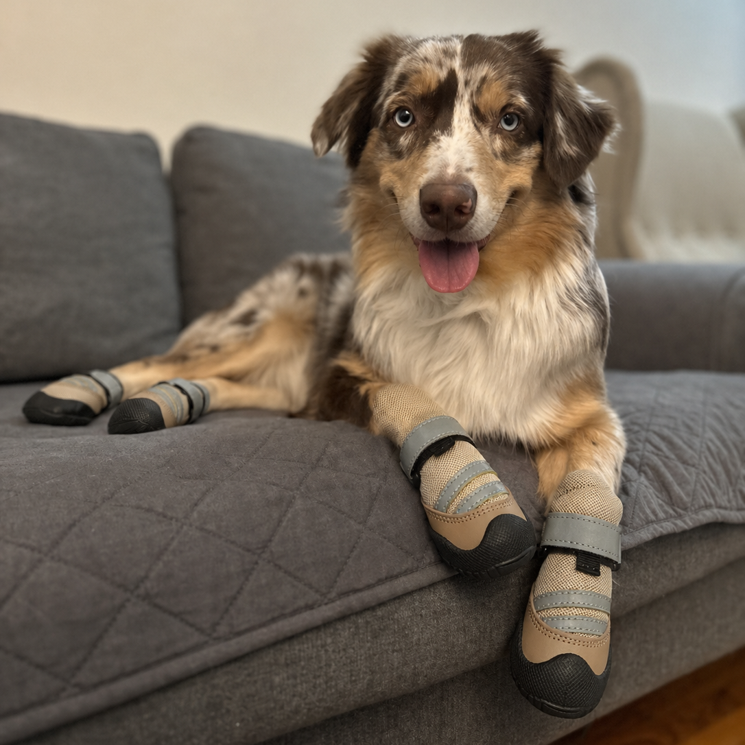 Scarpe Protettive FidoSit Set da 4 per Cani - FidoSit