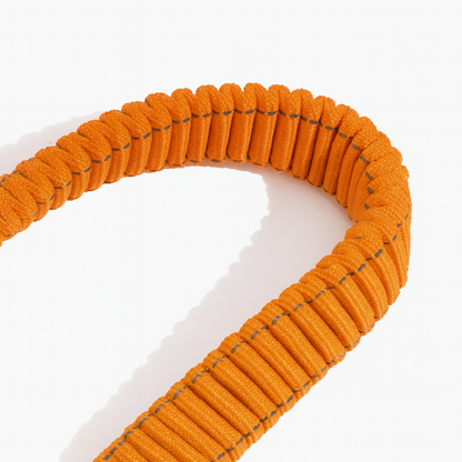 Elastic Anti-Whiplash Dog Car Safety Belt