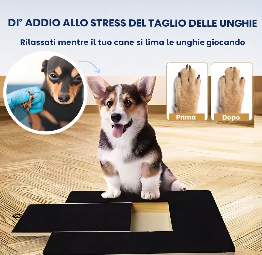Tavoletta Tiragraffi per Cani con Sorpresa - FidoSit