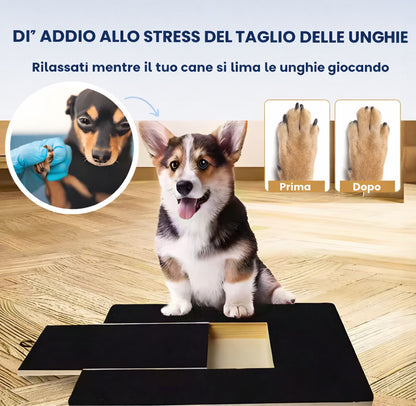 Tavoletta Tiragraffi per Cani con Sorpresa - FidoSit