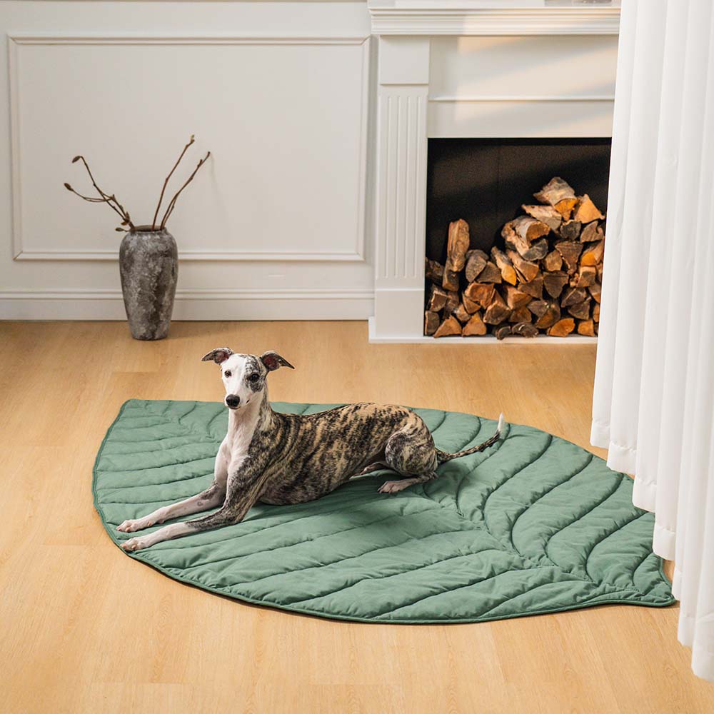 Tappetino Imbottito per Cani a Forma di Foglia - FidoSit