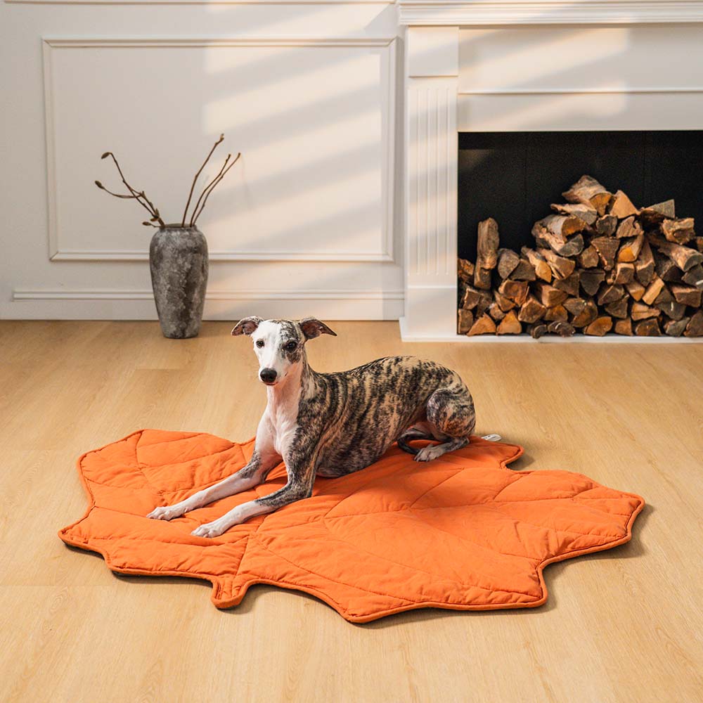 Tappetino Imbottito per Cani a Forma di Foglia - FidoSit