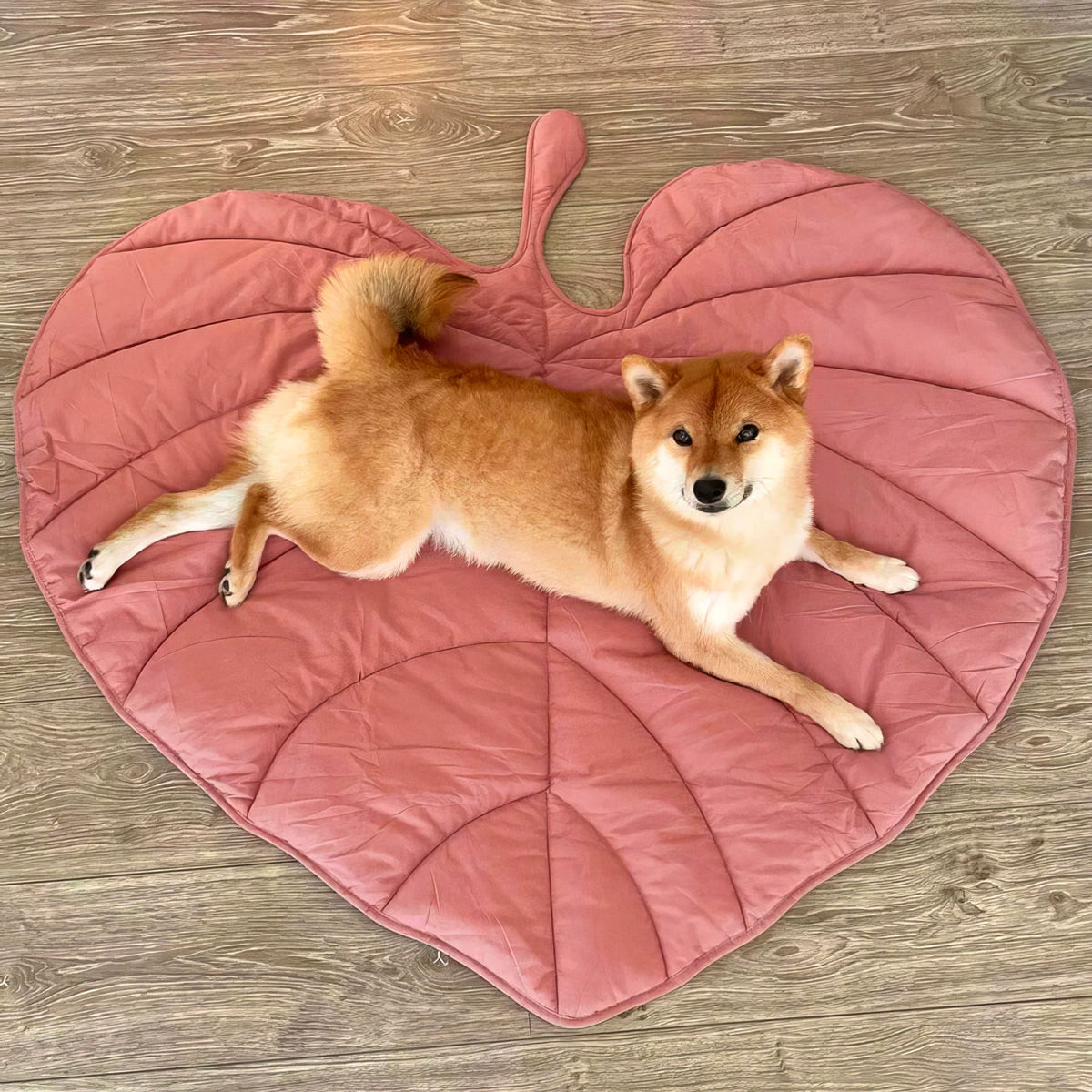 Tappetino Imbottito per Cani a Forma di Foglia - FidoSit