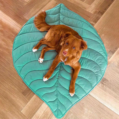 Tappetino Imbottito per Cani a Forma di Foglia - FidoSit