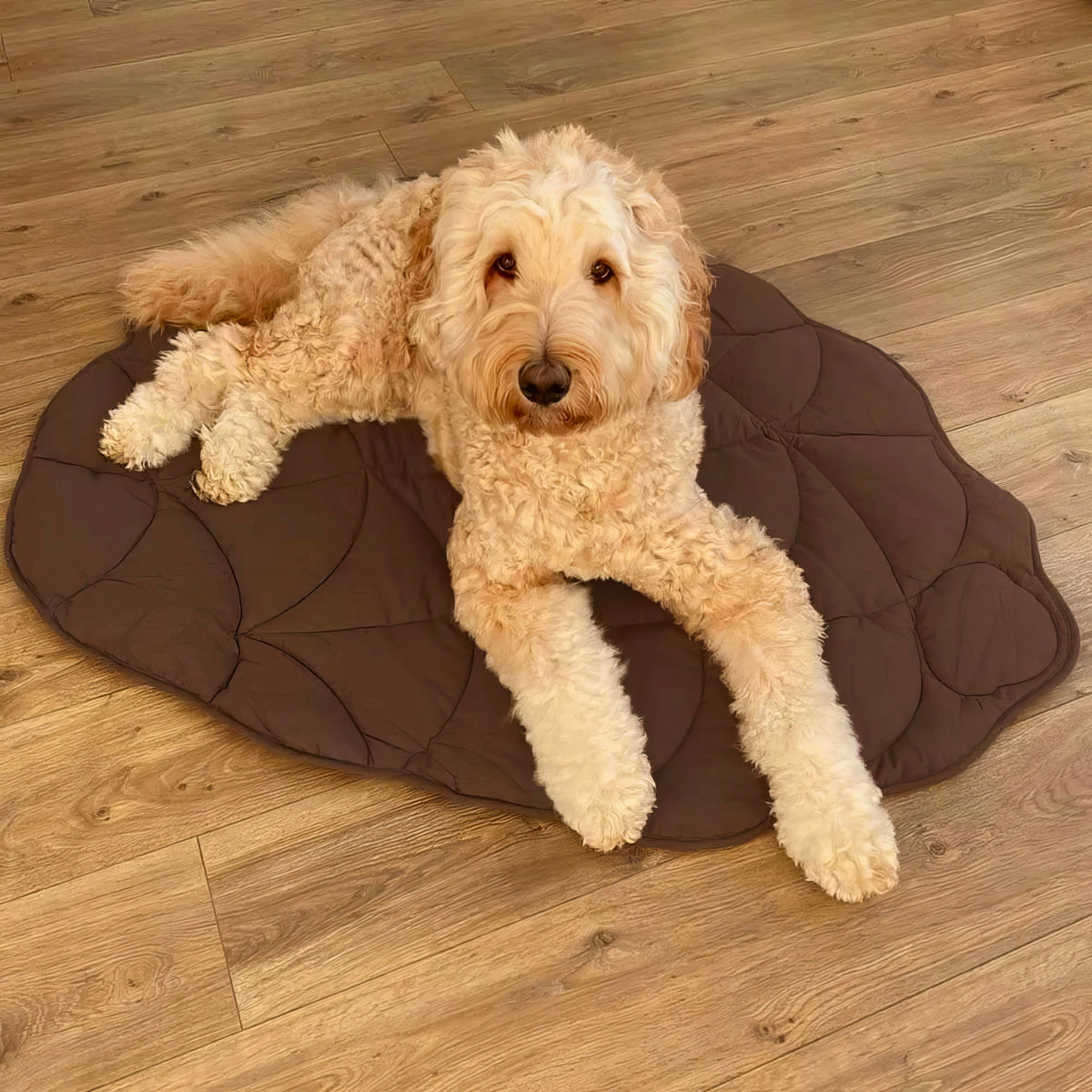 Tappetino Imbottito per Cani a Forma di Foglia - FidoSit