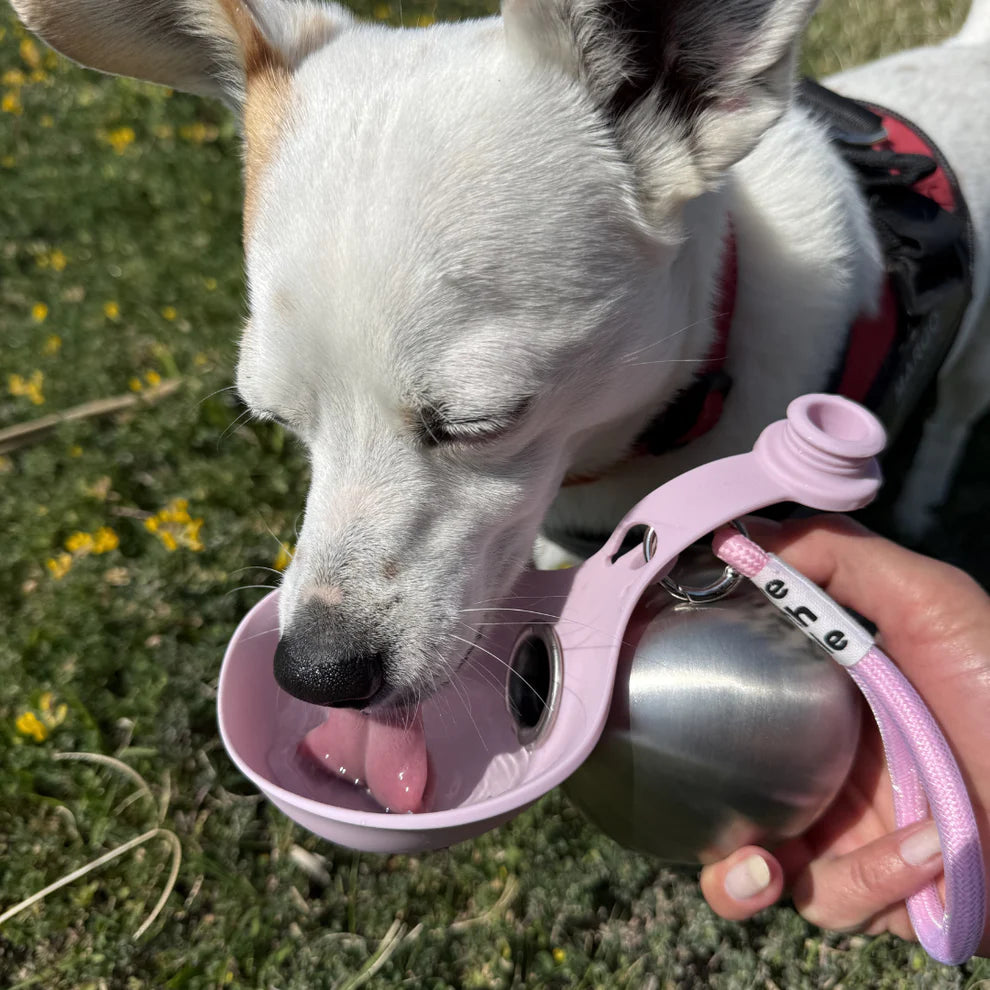 Borraccia per Cani con Ciotola Integrata - FidoSit