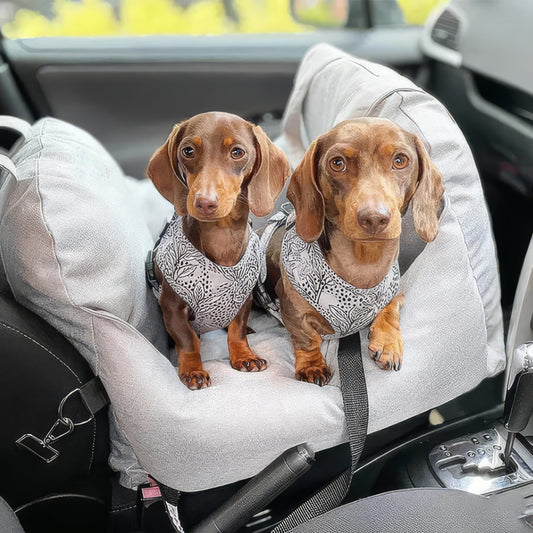 Seggiolino Auto per Cani 0-12 Kg Prima Classe - FidoSit