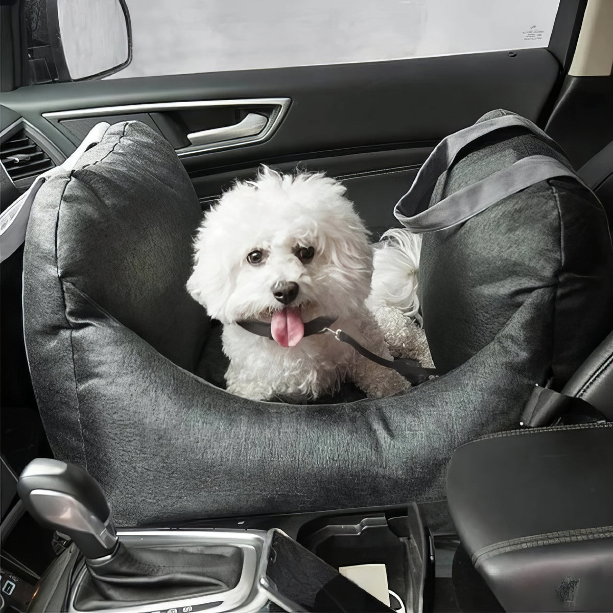 Seggiolino Auto per Cani 0-12 Kg Prima Classe - FidoSit