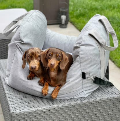 Seggiolino Auto per Cani 0-12 Kg Prima Classe - FidoSit