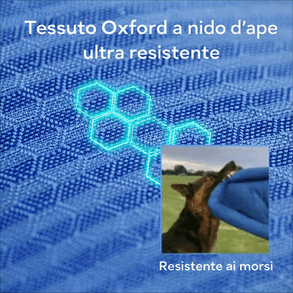 Cuccia Ortopedica Impermeabile Antimorso per Cani - FidoSit
