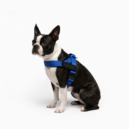 FidoSit adjustable dog harness in Classic Blue, product photo 4