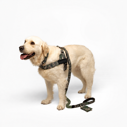 FidoSit adjustable dog harness in Green Camo, product photo 3