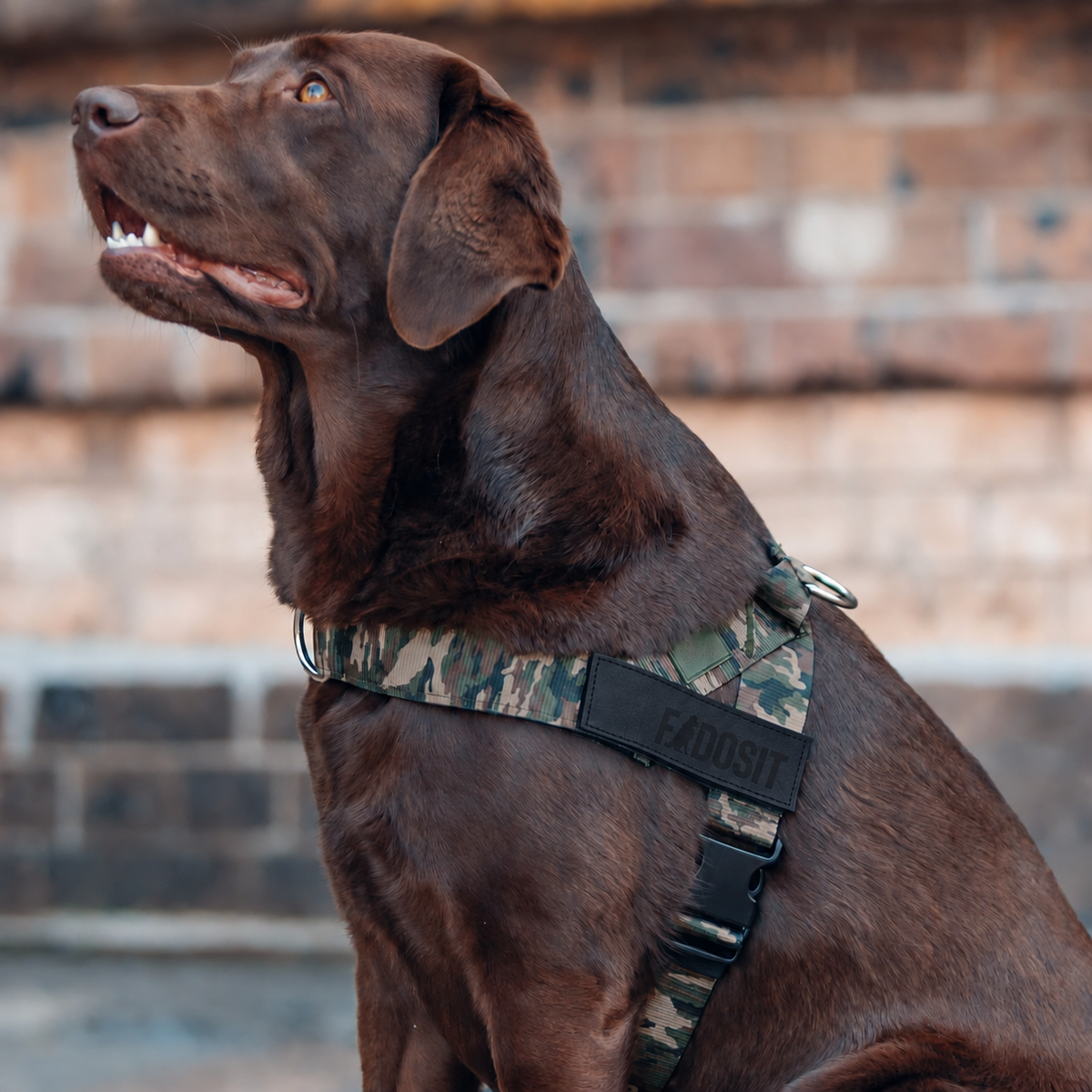 FidoSit adjustable dog harness in Green Camo, product photo 6