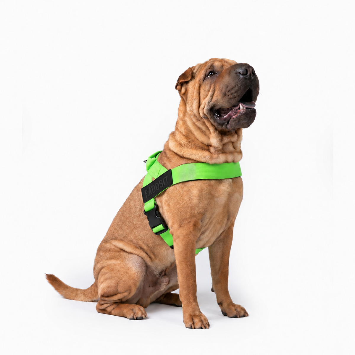 FidoSit adjustable dog harness in Neon Green, product photo 3