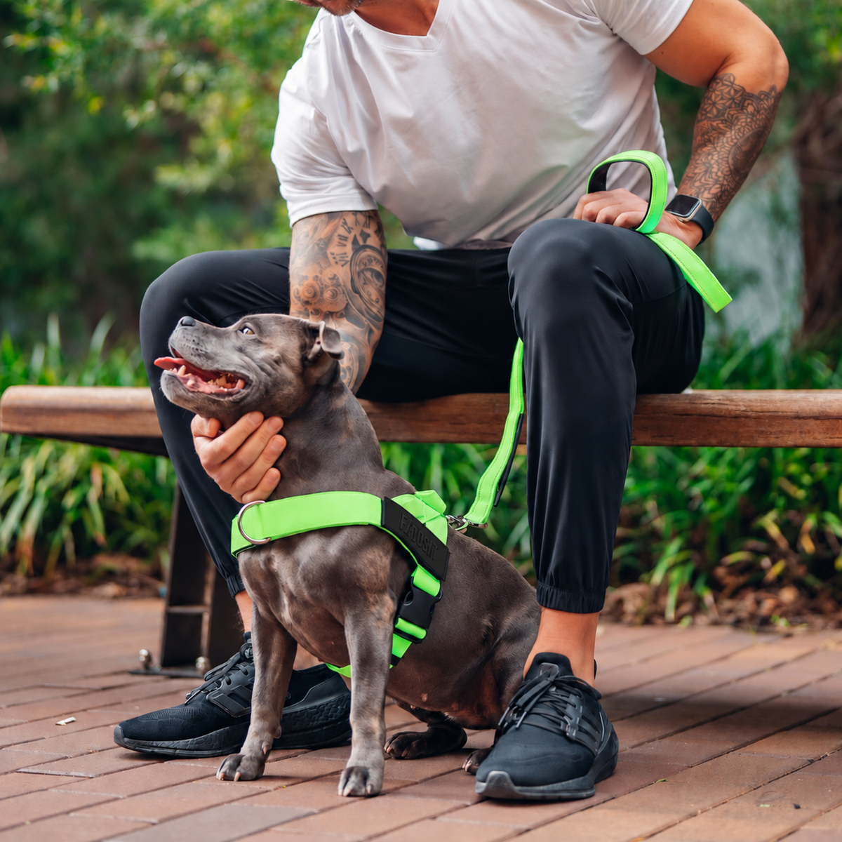 FidoSit adjustable dog harness in Neon Green, product photo 5