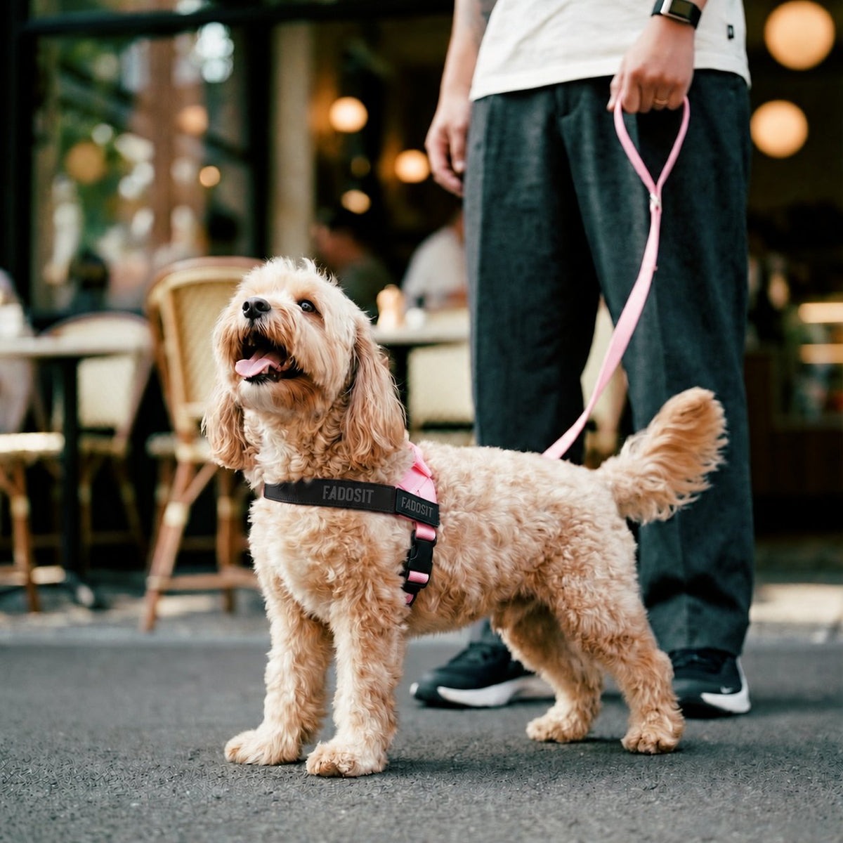 FidoSit adjustable dog harness in Pink, product photo 5