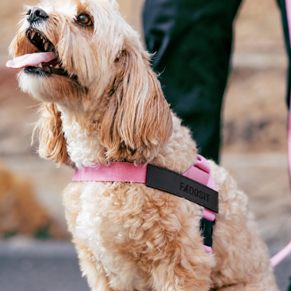 FidoSit adjustable dog harness in Pink, product photo 6