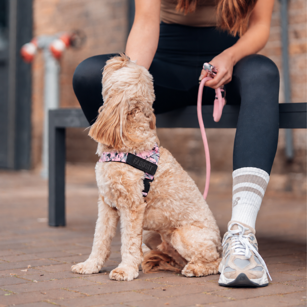 FidoSit adjustable dog harness in Pink Camo, product photo 5