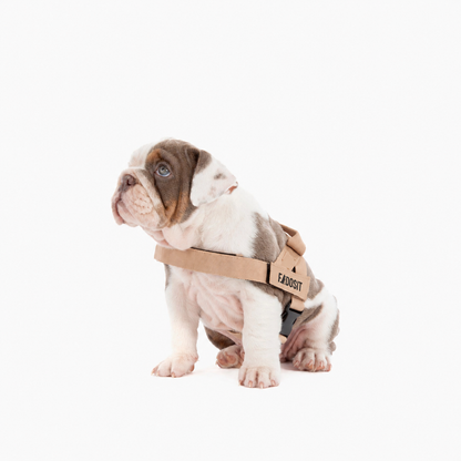 FidoSit adjustable dog harness in Premium Brown, product photo 4