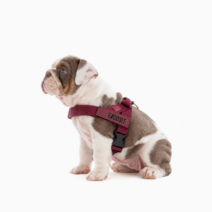 FidoSit adjustable dog harness in Premium Burgundy, product photo 4
