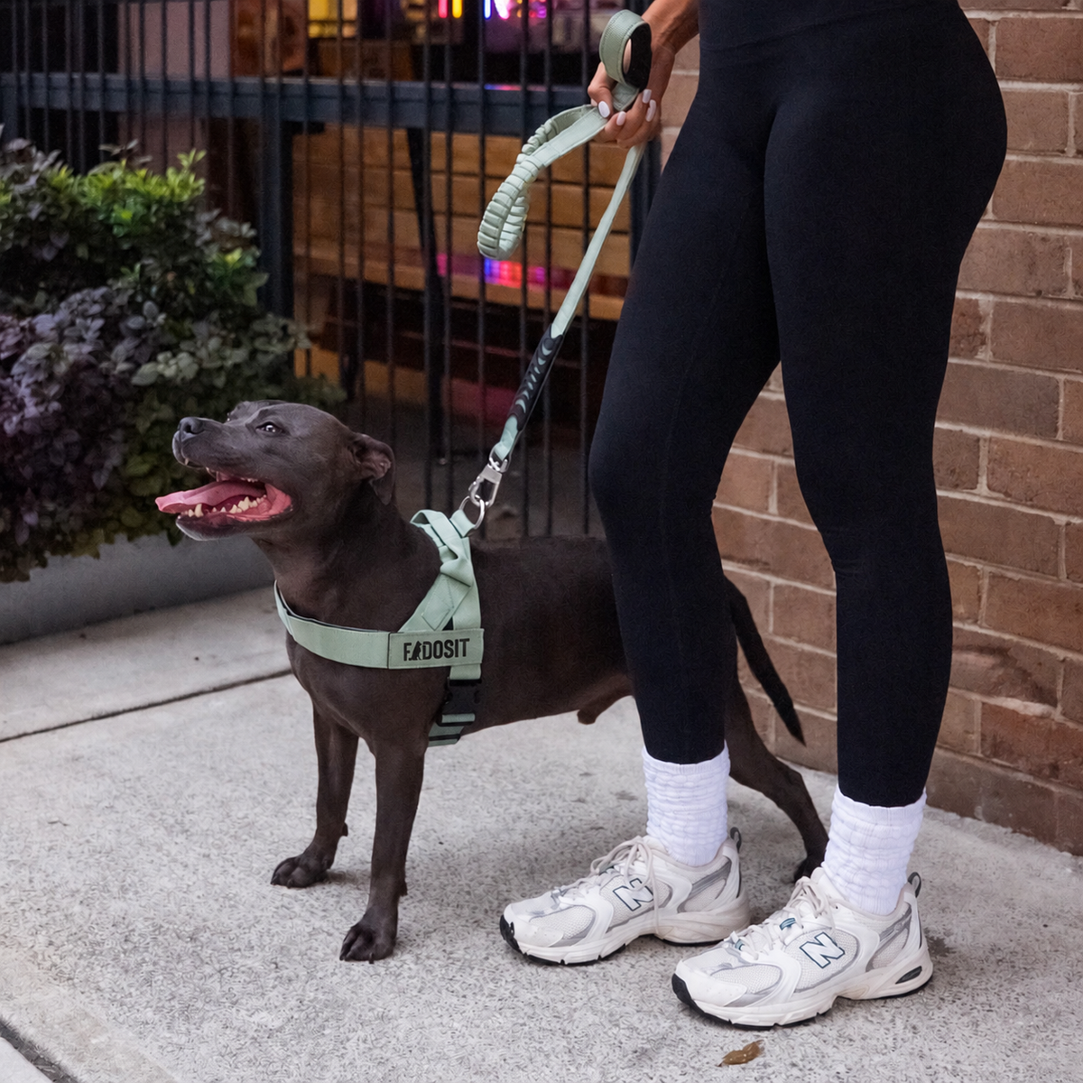 FidoSit adjustable dog harness in Premium Khaki, product photo 5