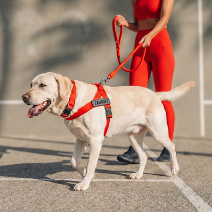 FidoSit adjustable dog harness in Red, product photo 5