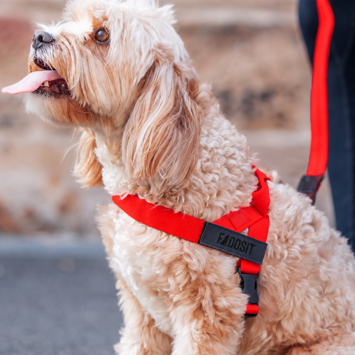 FidoSit adjustable dog harness in Red, product photo 6