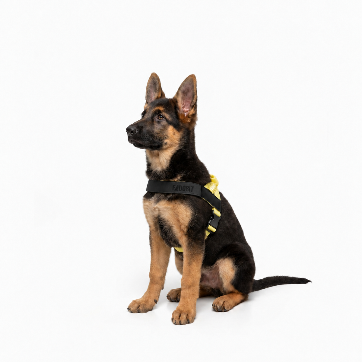 FidoSit adjustable dog harness in Yellow, product photo 4