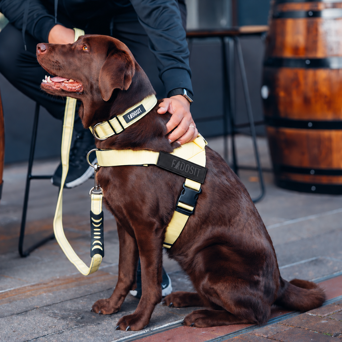 FidoSit adjustable dog harness in Yellow, product photo 5