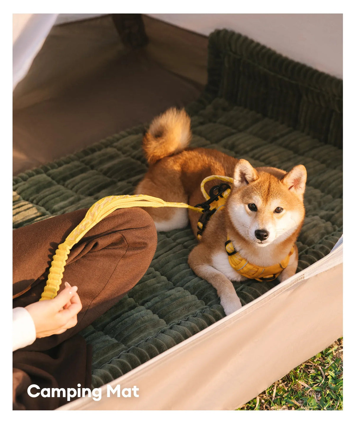 Waterproof flannel pet mat used while camping