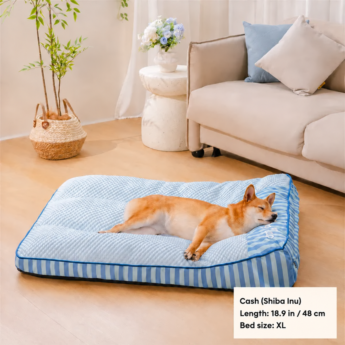 Shiba Inu on the FidoSit cooling orthopaedic dog bed – English size details